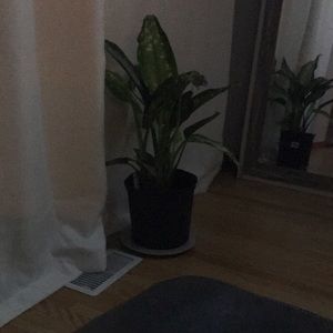 Meet your Posher, Molly